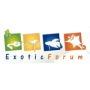 Exotic Forum