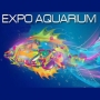 Expo Aquarium Seville