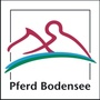 Pferd Bodensee Friedrichshafen
