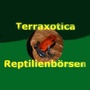 Terraxotica