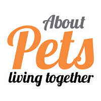 About Pets  Nicosia
