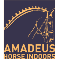 Mevisto Amadeus Horse Indoors 2022 Salzburg