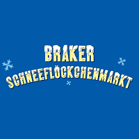 Snowflake Market  Brake