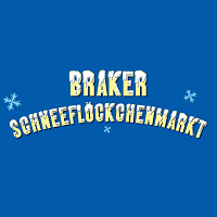 Snowflake Market 2024 Brake