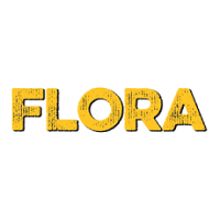 Flora Celje Flora Celje