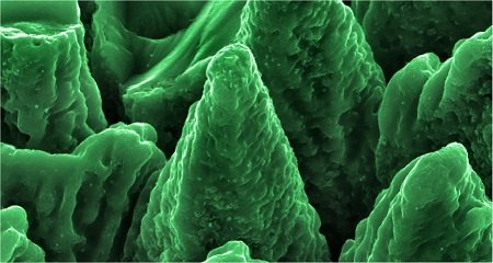 Nanotechnology