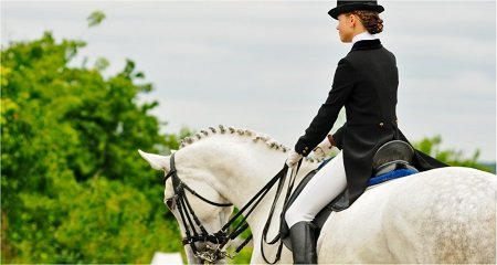 Equestrian Sports