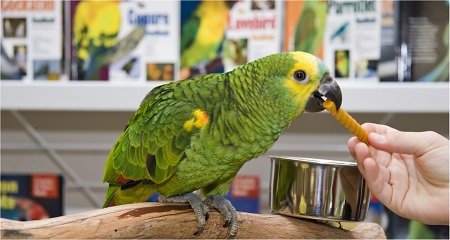 Zoo