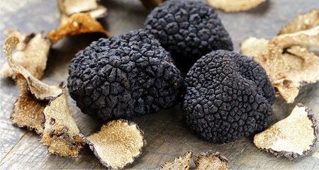 Truffle