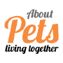 About Pets, Nicosia