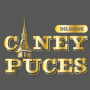 Ciney Puces & Antiquités, Ciney