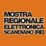 Mostra Regionale Elettronica, Scandiano